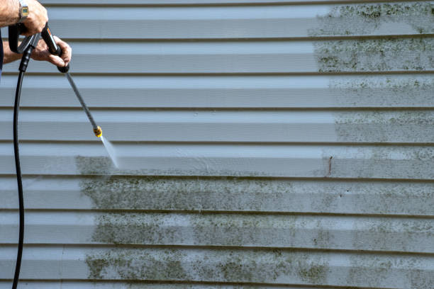 Siding Removal and Disposal in Wyoming, DE